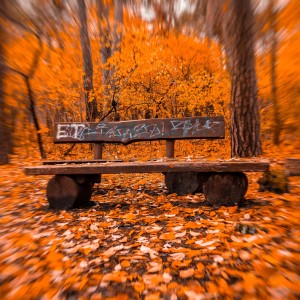 Krzysztof Jaworski-7